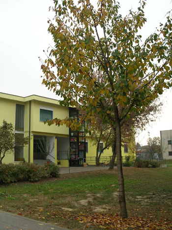 Scuola primaria "Giovanni XXIII"