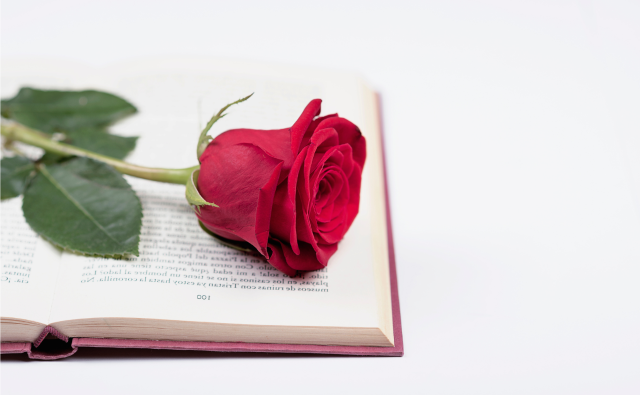 Una rosa per un libro